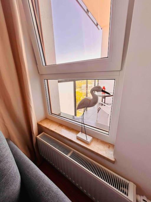 Urocze Z Widokiem Na Morze Gdansk